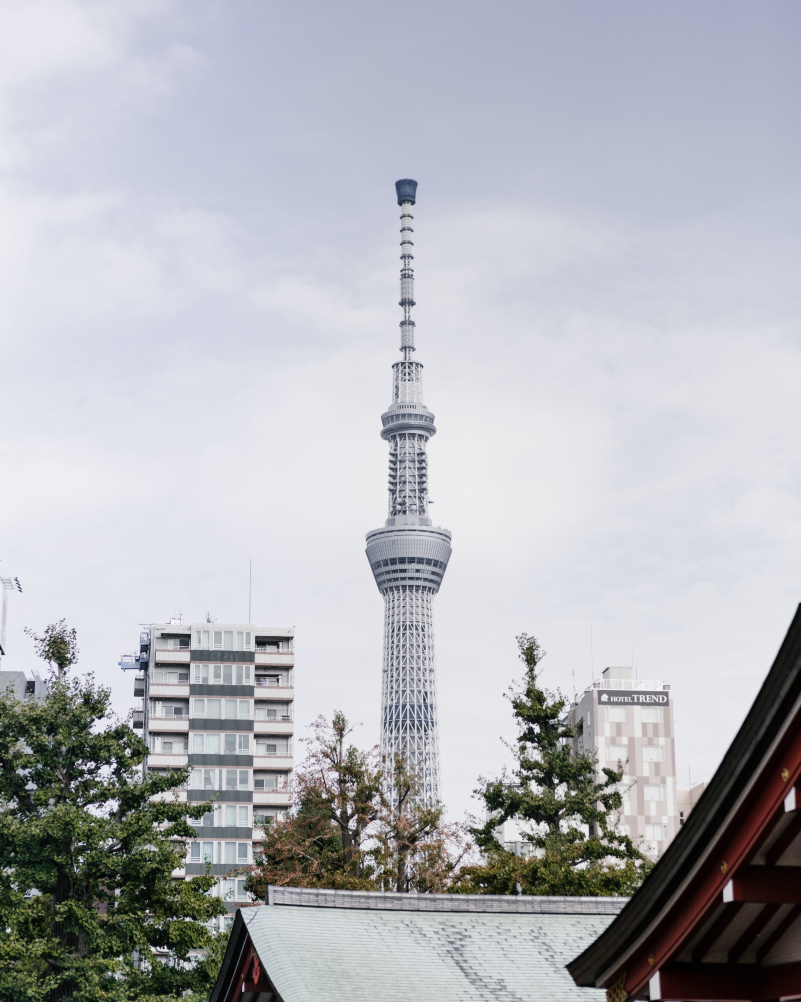 Tokyo équilibre Parfait Entre Modernité Et Tradition Alexandre